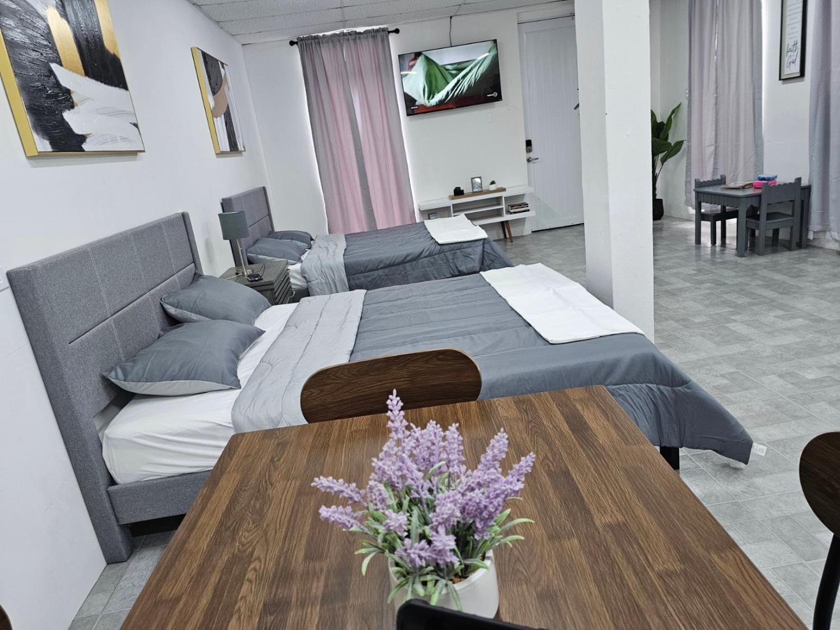 Salmos 23 Acogedor Apartamento Estudio Ceiba Exterior foto